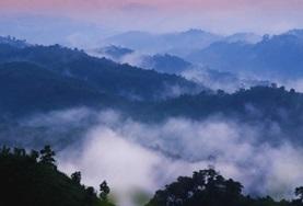 Bangladesh Bangladesh