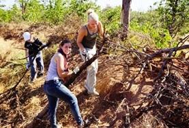 Vrijwilligerswerk in Zuid-Afrika:Natuurbehoud & Milieu Vrijwilligerswerk in Zuid-Afrika: Natuurbehoud & Milieu