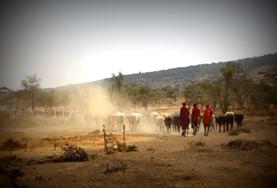 Vrijwilligerswerk en stage in Tanzania:Als vrijwilliger maak je kennis met de unieke Maasai cultuur in Tanzania. Als vrijwilliger maak je kennis met de unieke Maasai cultuur in Tanzania.