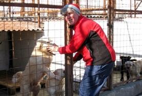 Vrijwilligerswerk met dieren in het buitenland:Als je vrijwilligerswerk doet met dieren in Roemenië werk je in een hondenasiel en help je bij de verzorging en behandeling van de honden. Als je vrijwilligerswerk doet met dieren in Roemenië werk je in een hondenasiel en help je bij de verzorging en behandeling van de honden.