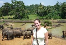 Vrijwilligerswerk met dieren in het buitenland:Sri Lanka Vrijwilligerswerk met dieren in het buitenland: Sri Lanka