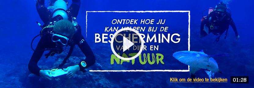 Ontdek hoe jij kan helpen bij de Bescherming van dier en Natuur