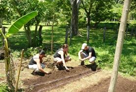 Natuurbehoud & Milieu vrijwilligerswerk in het buitenland:Help bij de bescherming van een natuurpark in Costa Rica door bijvoorbeeld nieuwe inheemse gewassen te planten. Help bij de bescherming van een natuurpark in Costa Rica door bijvoorbeeld nieuwe inheemse gewassen te planten.