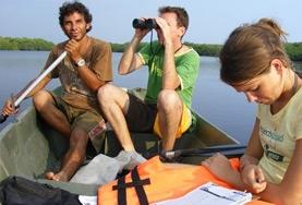Natuurbehoud & Milieu vrijwilligerswerk in het buitenland:Neem deel aan onderzoek naar zeeschildpadden tijdens dit natuurbehoud vrijwilligerswerk in Mexico. Neem deel aan onderzoek naar zeeschildpadden tijdens dit natuurbehoud vrijwilligerswerk in Mexico.