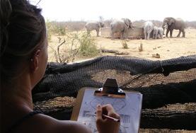 Natuurbehoud & Milieu vrijwilligerswerk in het buitenland:Help als vrijwilliger bij onderzoek naar bedreigde dieren in Zuid-Afrika. Help als vrijwilliger bij onderzoek naar bedreigde dieren in Zuid-Afrika.