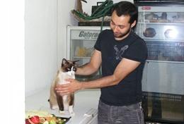 Vrijwilligerswerk met ervaring voor diergeneeskunde: projecten voor professionals:Als ervaren dierenarts is jouw kennis over honden en katten zeer welkom in dierenklinieken in Mexico. Als ervaren dierenarts is jouw kennis over honden en katten zeer welkom in dierenklinieken in Mexico.