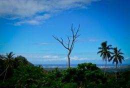 Vrijwilligerswerk in Samoa:Gezondheidszorg Vrijwilligerswerk in Samoa: Gezondheidszorg