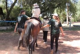 Vrijwilligerswerk in Bolivia:Je helpt bij de verzorging van de paarden en de therapiesessies voor kinderen tijdens dit project in Bolivia. Je helpt bij de verzorging van de paarden en de therapiesessies voor kinderen tijdens dit project in Bolivia.