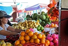 Vrijwilligerswerk in de Filippijnen:Breng je opgedane kennis tijdens de taalcursus Cebuano in de praktijk op een lokale markt. Breng je opgedane kennis tijdens de taalcursus Cebuano in de praktijk op een lokale markt.