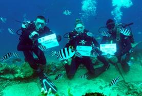 Groepsreizen voor 50-plussers met vrijwilligerswerk:Volwassen vrijwilligers behalen hun duikbrevet tijdens het haaienbeschermings natuurbehoud project in Fiji. Volwassen vrijwilligers behalen hun duikbrevet tijdens het haaienbeschermings natuurbehoud project in Fiji.