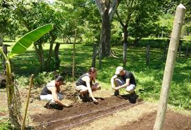 Groepsreizen Natuurbehoud & Milieu:Vrijwilligers helpen in Costa Rica bij het planten van nieuwe gewassen in een kweekerij. Vrijwilligers helpen in Costa Rica bij het planten van nieuwe gewassen in een kweekerij.